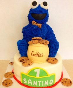 Cookie Monster 002