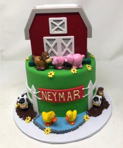 Kids Birthday Cake